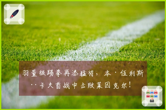 羽量级踢拳再添猛将，本·伍利斯在卡夫首战中击败莱因克尔！